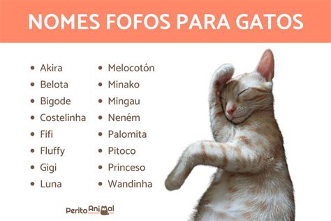 nomes para gata